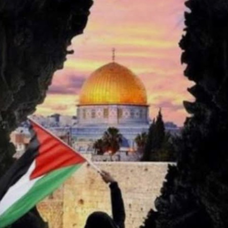 القضية الفلسطينية بين خطط السلام الدولية والتصعيد الميداني