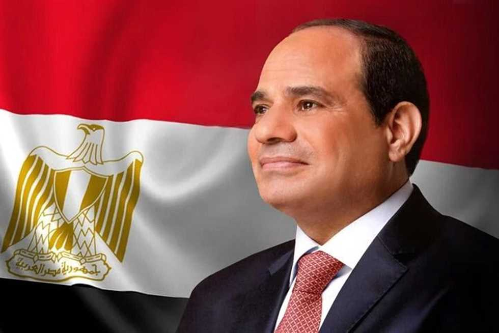 *الرئيس المصري ومسار الدبلوماسية النشطة: مصر تعزز دورها المركزي في القضية الفلسطينية