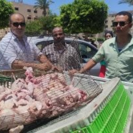 حماية صحة المواطنين خط أحمر: ضبط دواجن نافقة قبل بيعها في سوق الزهور ببورسعيد