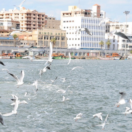الحراك الحزبي في بورسعيد… حضور ميداني وخدمة مجتمعية فاعلة