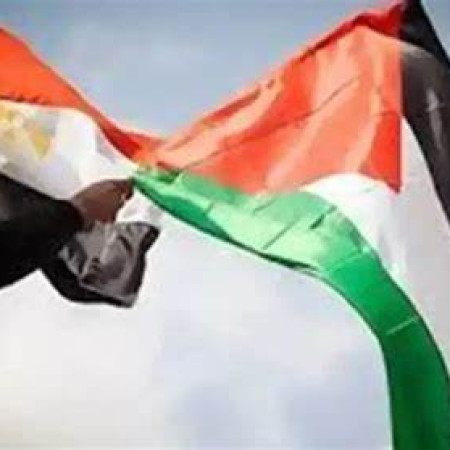 تهجير الشعب الفلسطيني: تاريخ من المعاناة ودور مصر في مساندة القضية.